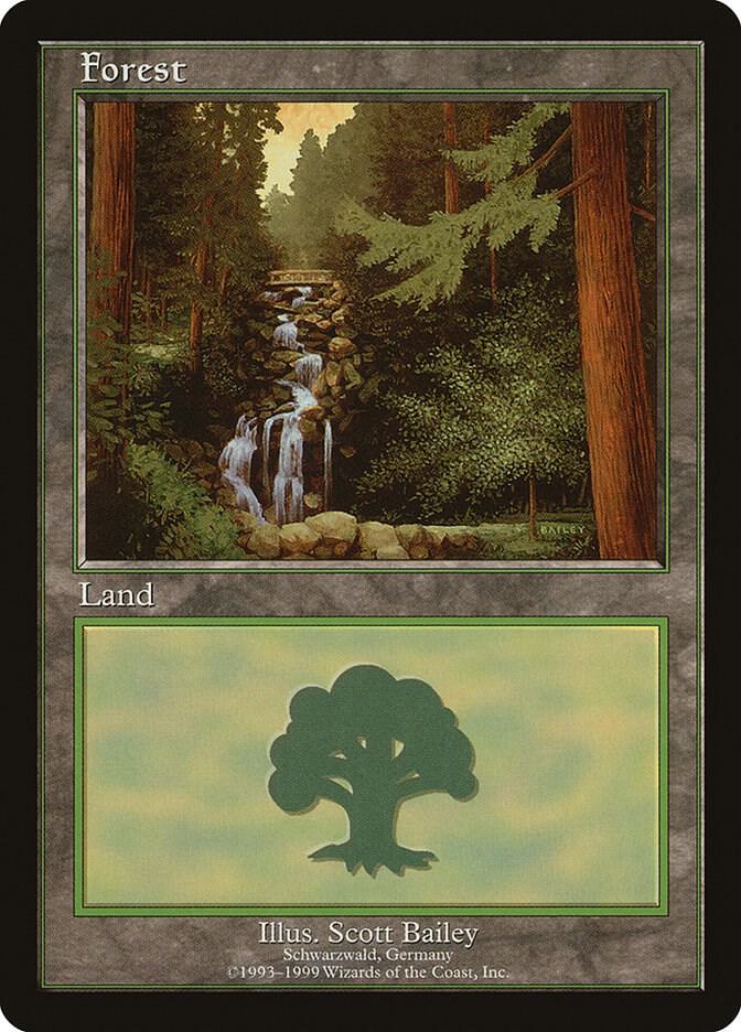 Forest - Schwarzwald 1 card from European Lands