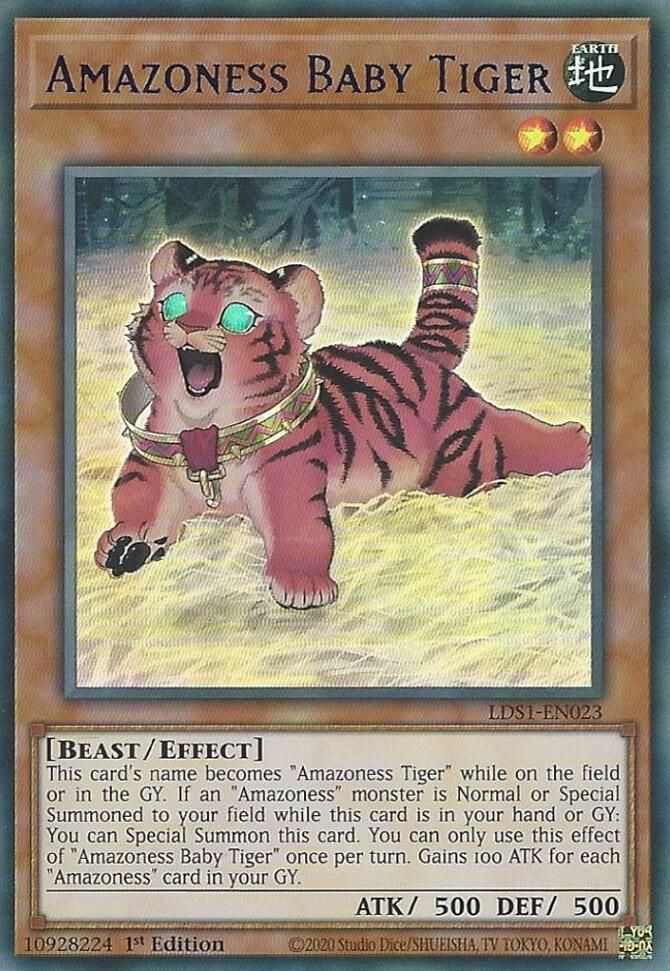 Amazoness Baby Tiger (Blue) LDS1-EN023 card from Legendary Duelists: Season 1