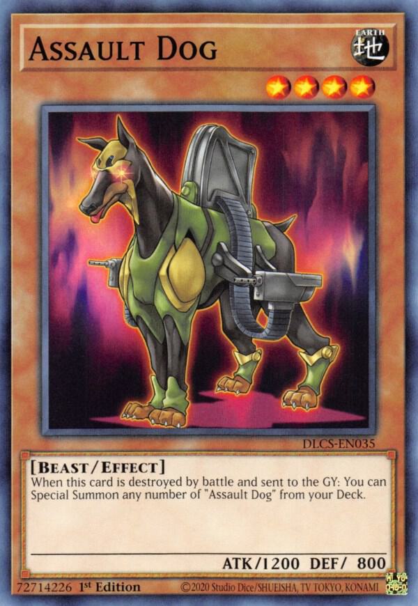 Assault Dog DLCS-EN035 card from Dragons of Legend: The Complete Series