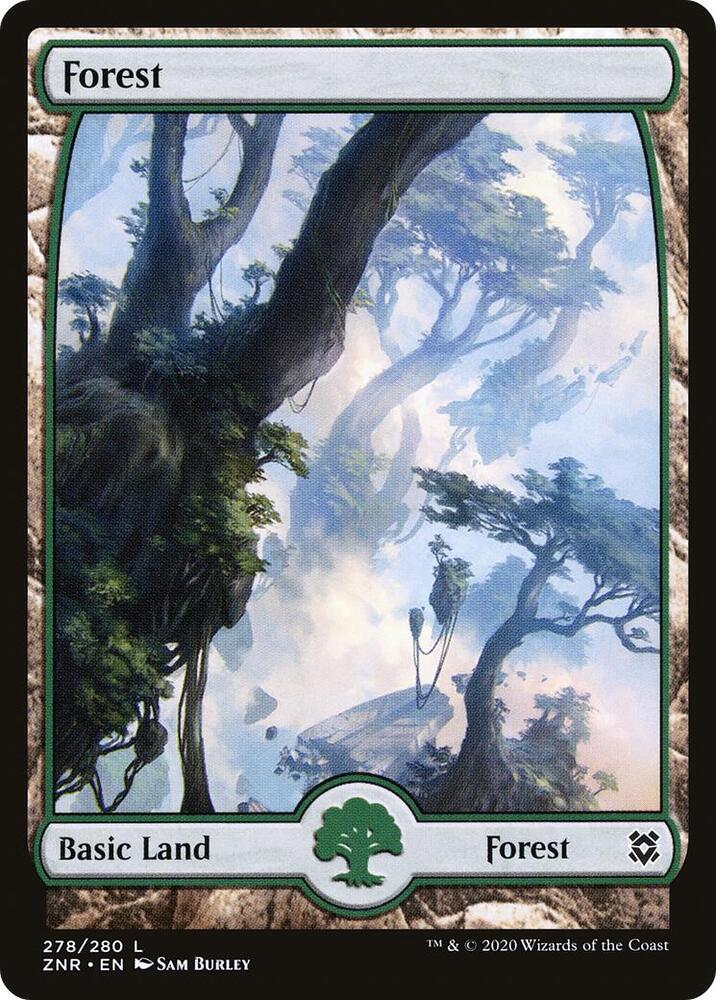 Forest - Full Art 278 card from Zendikar Rising