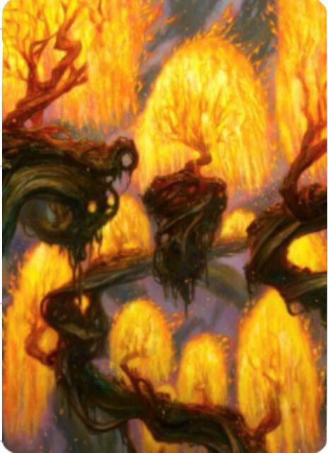 Grove of the Burnwillows Art Card 34 card from Art Series: Zendikar Rising