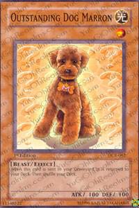 Outstanding Dog Marron DCR-062 card from Dark Crisis