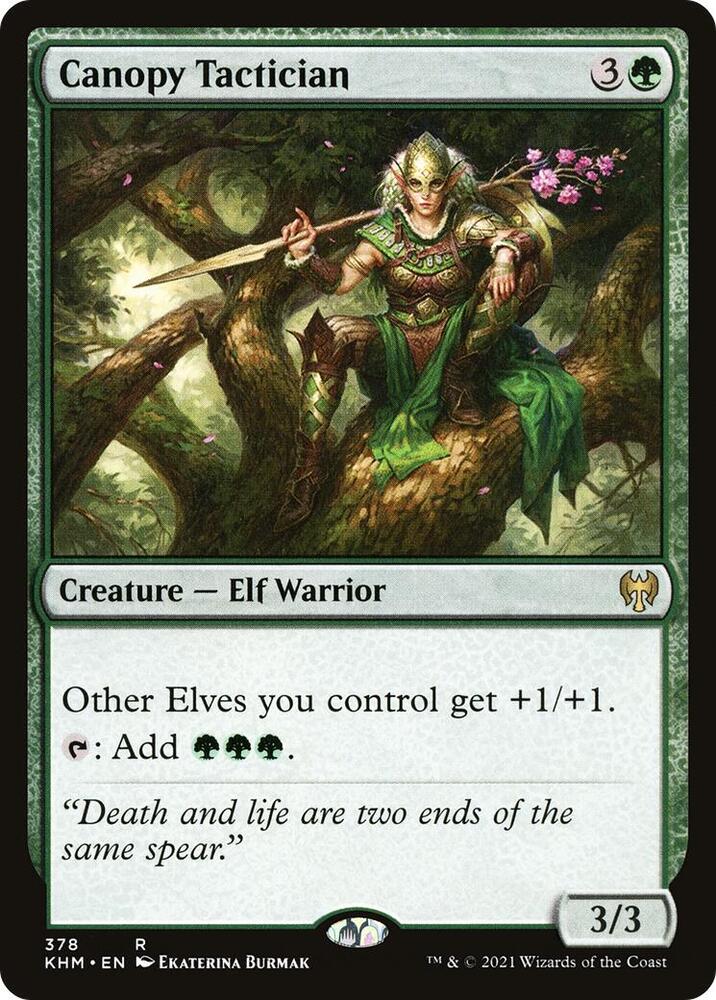 Canopy Tactician 378 card from Kaldheim