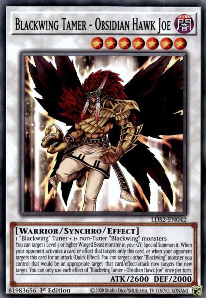Blackwing Tamer - Obsidian Hawk Joe LDS2-EN042 card from Legendary Duelists: Season 2
