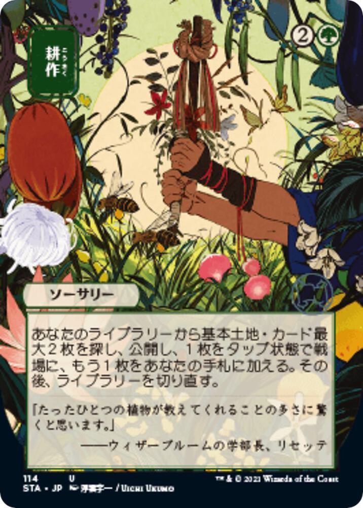 Cultivate (JP Alternate Art) 114 card from Strixhaven: Mystical Archive