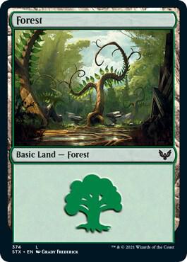 Forest 374 card from Strixhaven: School of Mages
