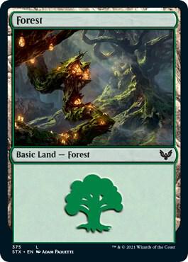 Forest 375 card from Strixhaven: School of Mages