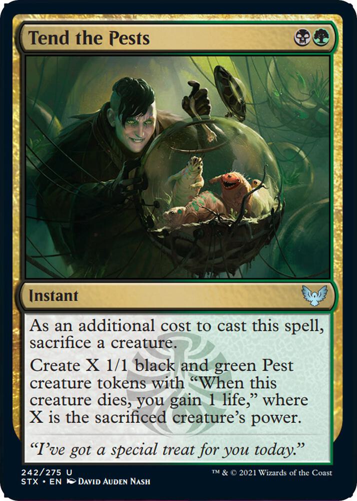Tend the Pests 242 card from Strixhaven: School of Mages