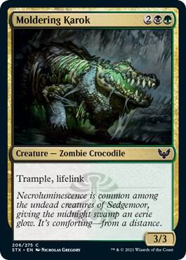 Moldering Karok 206 card from Strixhaven: School of Mages