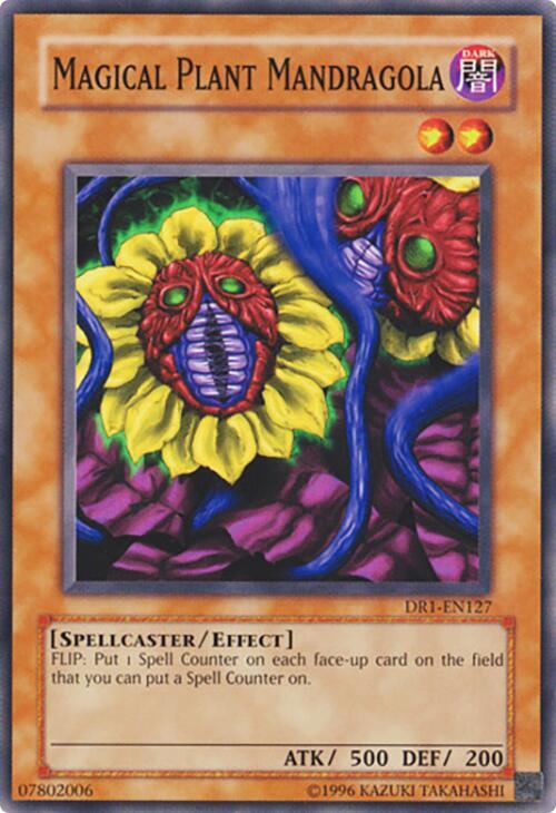 Magical Plant Mandragola DR1-EN127 card from Dark Revelation Volume 1