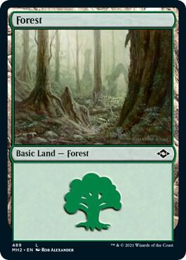 Forest (Foil Etched) 489 card from Modern Horizons 2