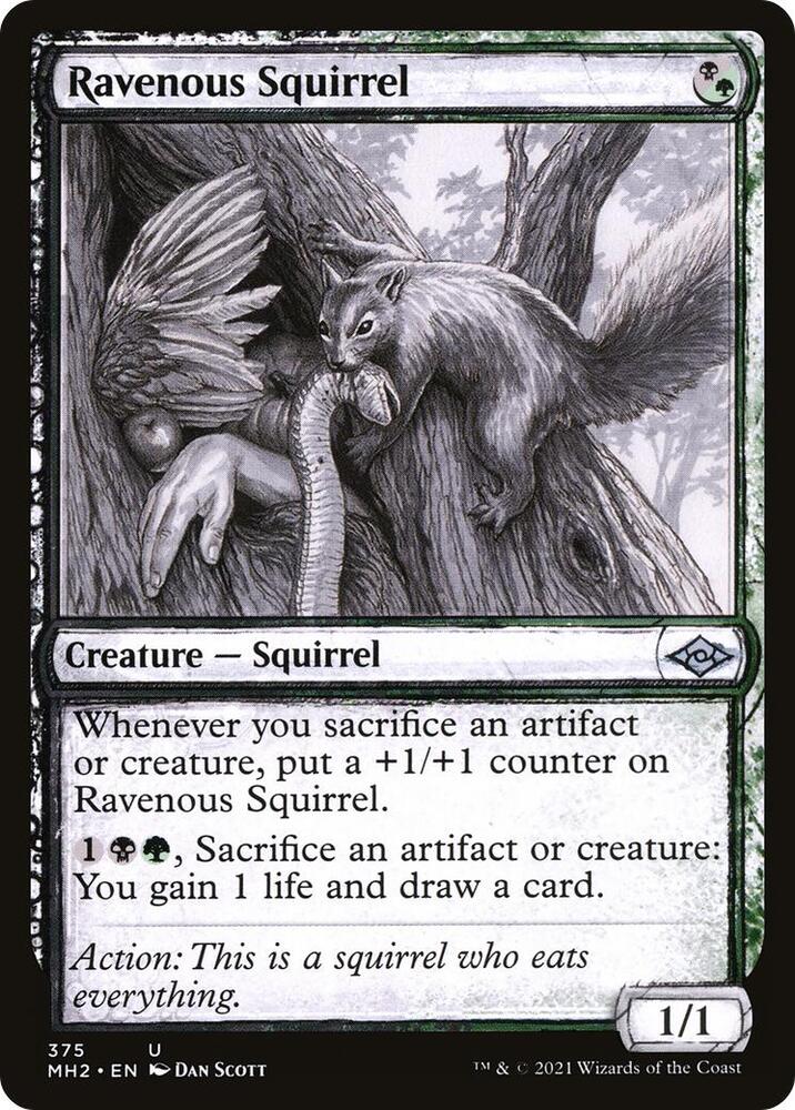 Ravenous Squirrel (Showcase) 375 card from Modern Horizons 2