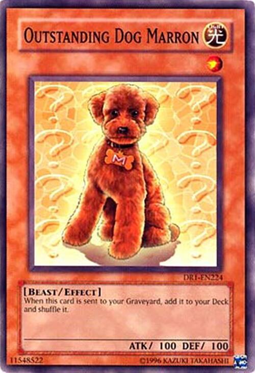Outstanding Dog Marron DR1-EN224 card from Dark Revelation Volume 1