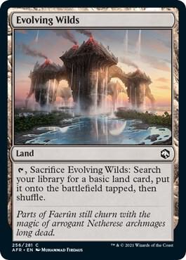 Evolving Wilds 256 card from Adventures in the Forgotten Realms