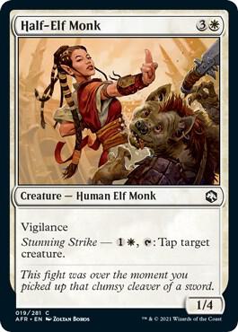 Half-Elf Monk 19 card from Adventures in the Forgotten Realms