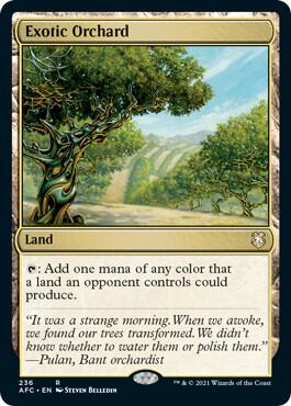 Exotic Orchard 236 card from Commander: Adventures in the Forgotten Realms