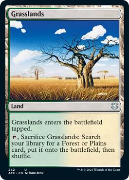 Grasslands 242 card from Commander: Adventures in the Forgotten Realms