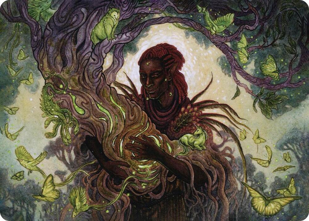 Circle of Dreams Druid Art Card 66 card from Art Series: Adventures in the Forgotten Realms