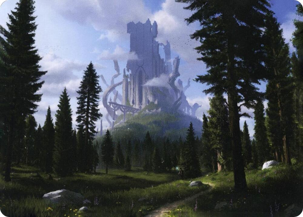 Forest (61/81) Art Card card from Art Series: Adventures in the Forgotten Realms
