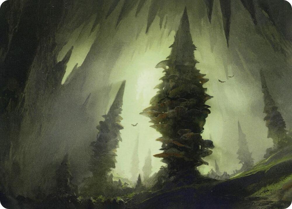 Forest (55/81) Art Card card from Art Series: Adventures in the Forgotten Realms