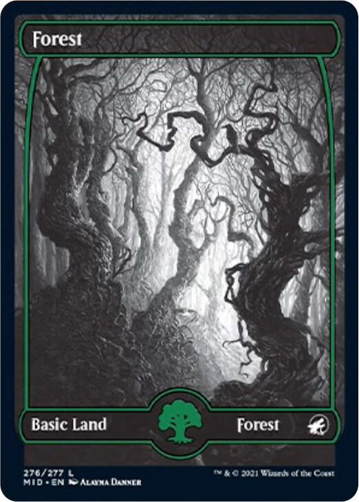 Forest 276 card from Innistrad: Midnight Hunt