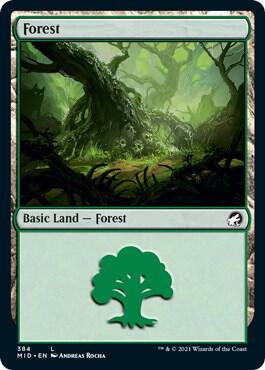 Forest 384 card from Innistrad: Midnight Hunt