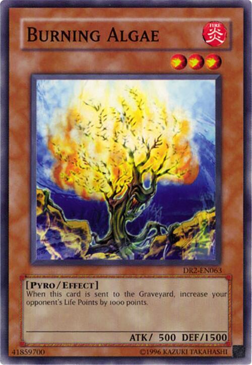 Burning Algae DR2-EN063 card from Dark Revelation Volume 2