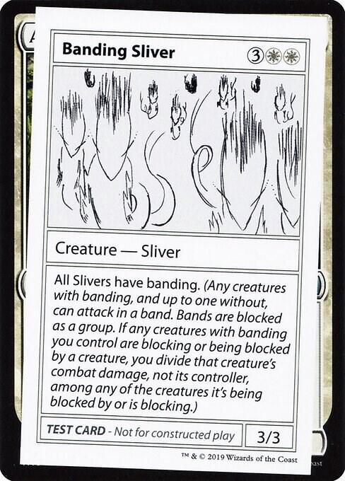 Banding Sliver (No PW Symbol) card from Mystery Booster: Convention Edition Exclusives