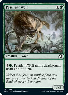 Pestilent Wolf 192 card from Innistrad: Midnight Hunt