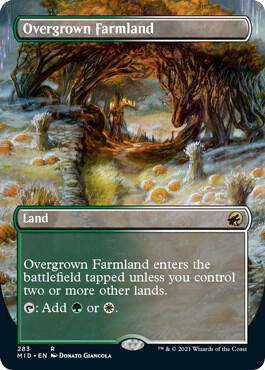 Overgrown Farmland (Borderless) 283 card from Innistrad: Midnight Hunt