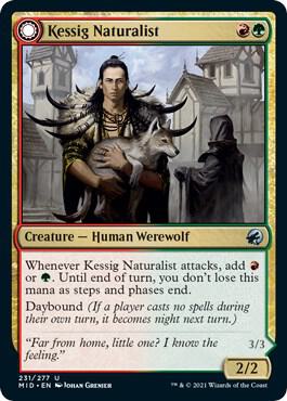 Kessig Naturalist 231 card from Innistrad: Midnight Hunt