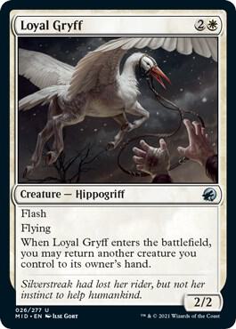 Loyal Gryff 26 card from Innistrad: Midnight Hunt