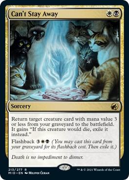 Can't Stay Away 213 card from Innistrad: Midnight Hunt