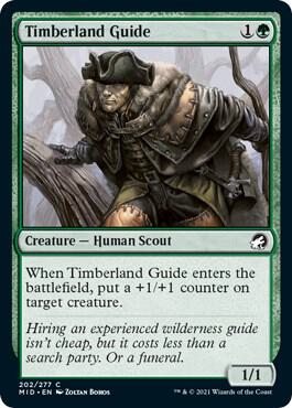Timberland Guide 202 card from Innistrad: Midnight Hunt