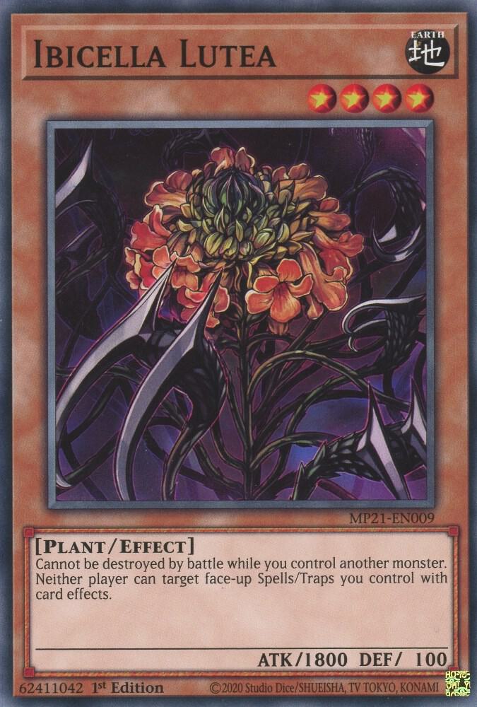 Ibicella Lutea MP21-EN009 card from 2021 Tin of Ancient Battles