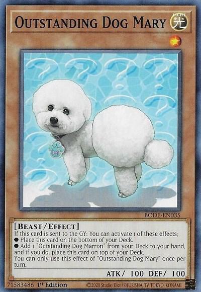 Outstanding Dog Mary BODE-EN035 card from Burst of Destiny