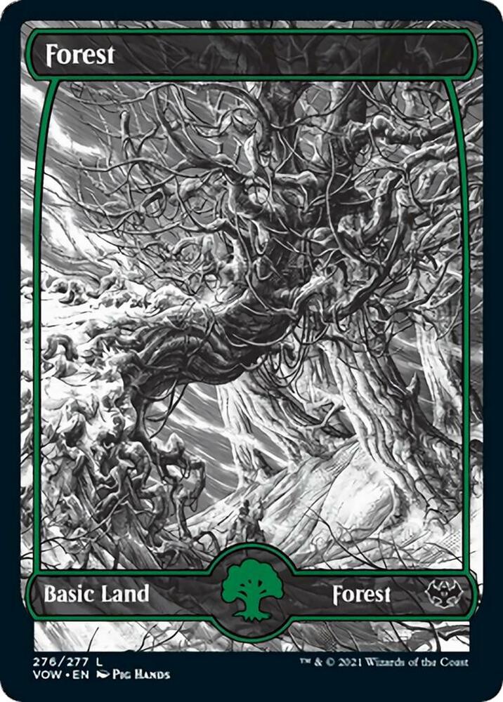 Forest 276 card from Innistrad: Crimson Vow