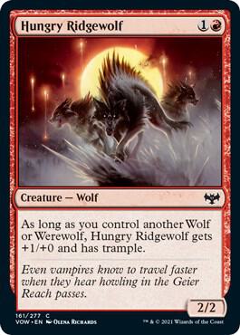 Hungry Ridgewolf 161 card from Innistrad: Crimson Vow