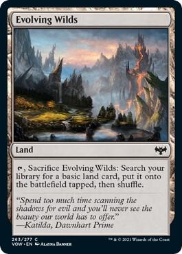 Evolving Wilds 263 card from Innistrad: Crimson Vow