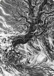 Forest Art Card 81 card from Art Series: Innistrad: Crimson Vow