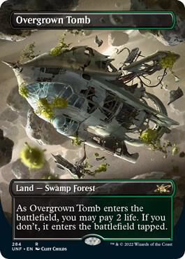 Overgrown Tomb (Borderless) 284 card from Unfinity