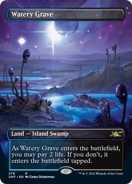 Watery Grave (Borderless) 278 card from Unfinity