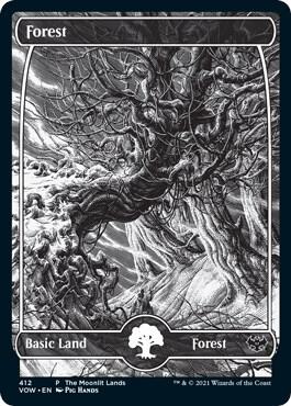Forest (Moonlit Land) (Foil Etched) 412 card from WPN & Gateway Promos