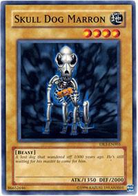 Skull Dog Marron DR3-EN003 card from Dark Revelation Volume 3