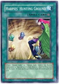 Harpies' Hunting Ground DR3-EN098 card from Dark Revelation Volume 3