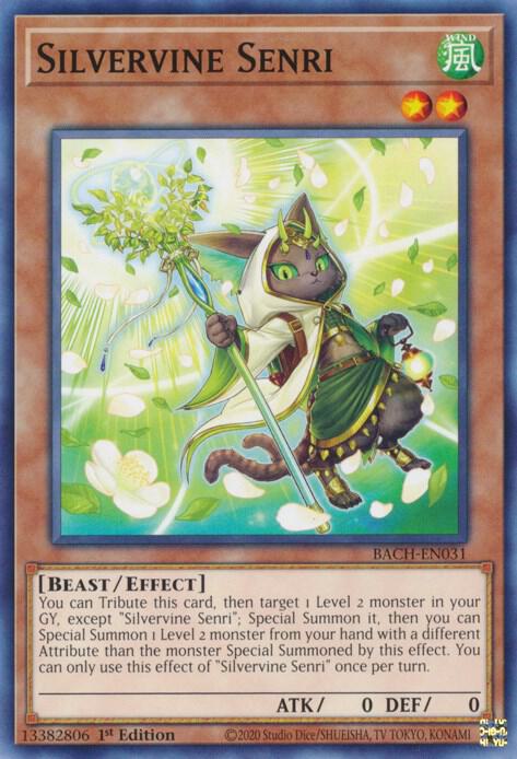 Silvervine Senri BACH-EN031 card from Battle of Chaos