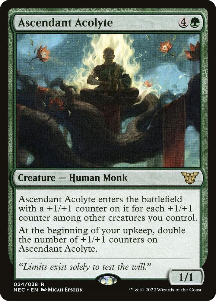 Ascendant Acolyte 24 card from Commander: Kamigawa: Neon Dynasty