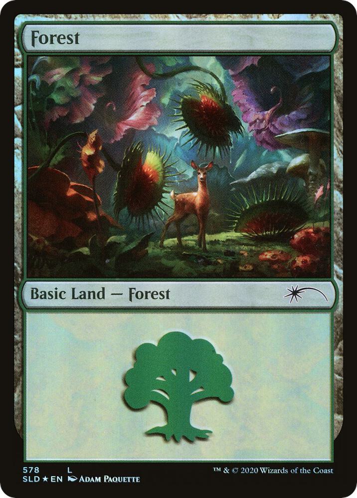 Forest 578 card from Secret Lair Drop Series