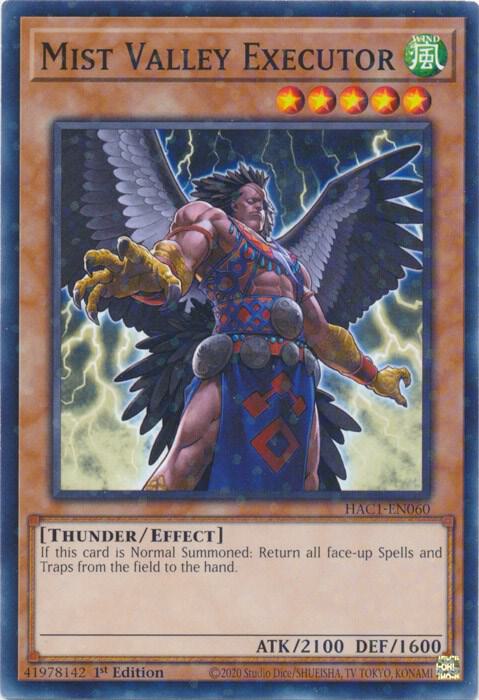 Mist Valley Executor (Duel Terminal) HAC1-EN060 card from Hidden Arsenal: Chapter 1