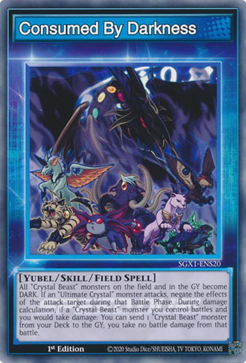 Consumed By Darkness SGX1-ENS20 card from Speed Duel GX: Duel Academy Box